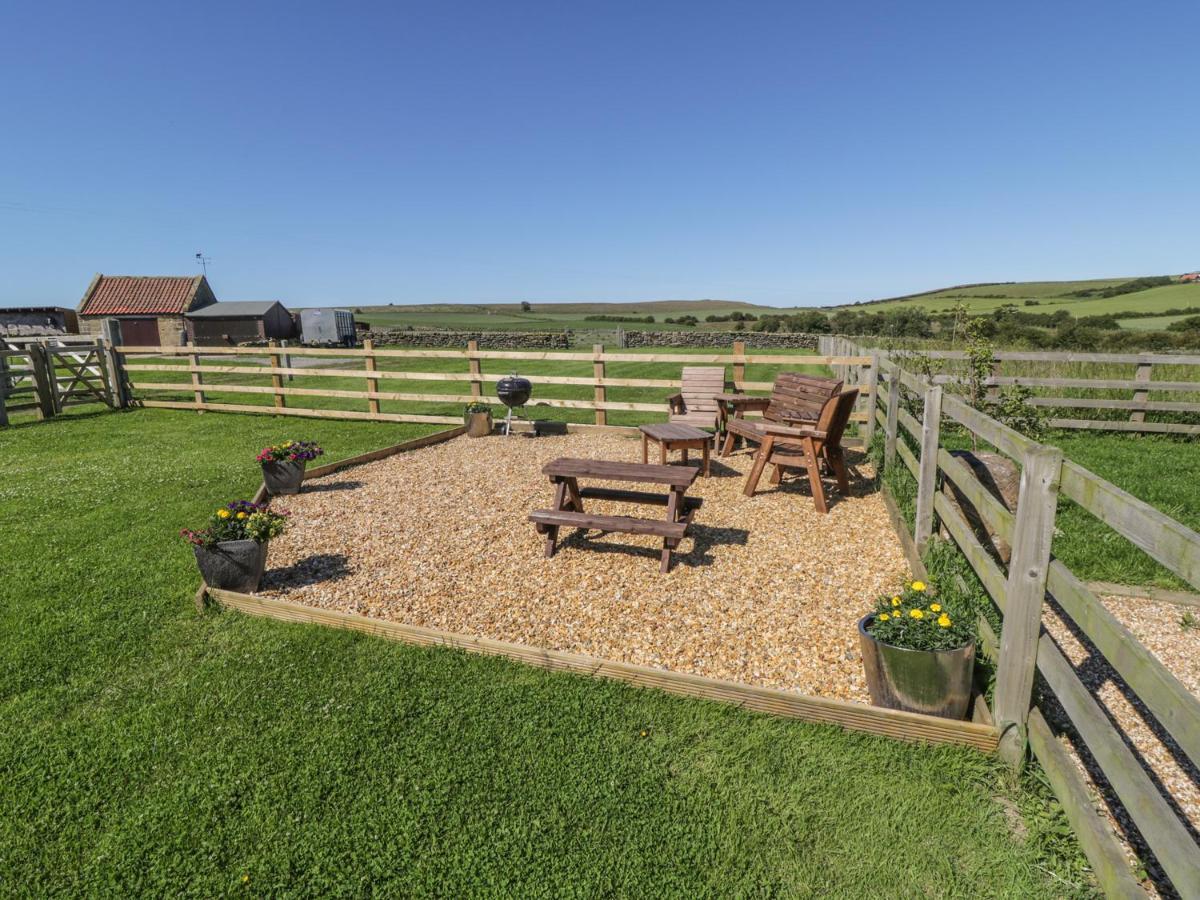 Street House Farm Cottage Saltburn-by-the-Sea Extérieur photo