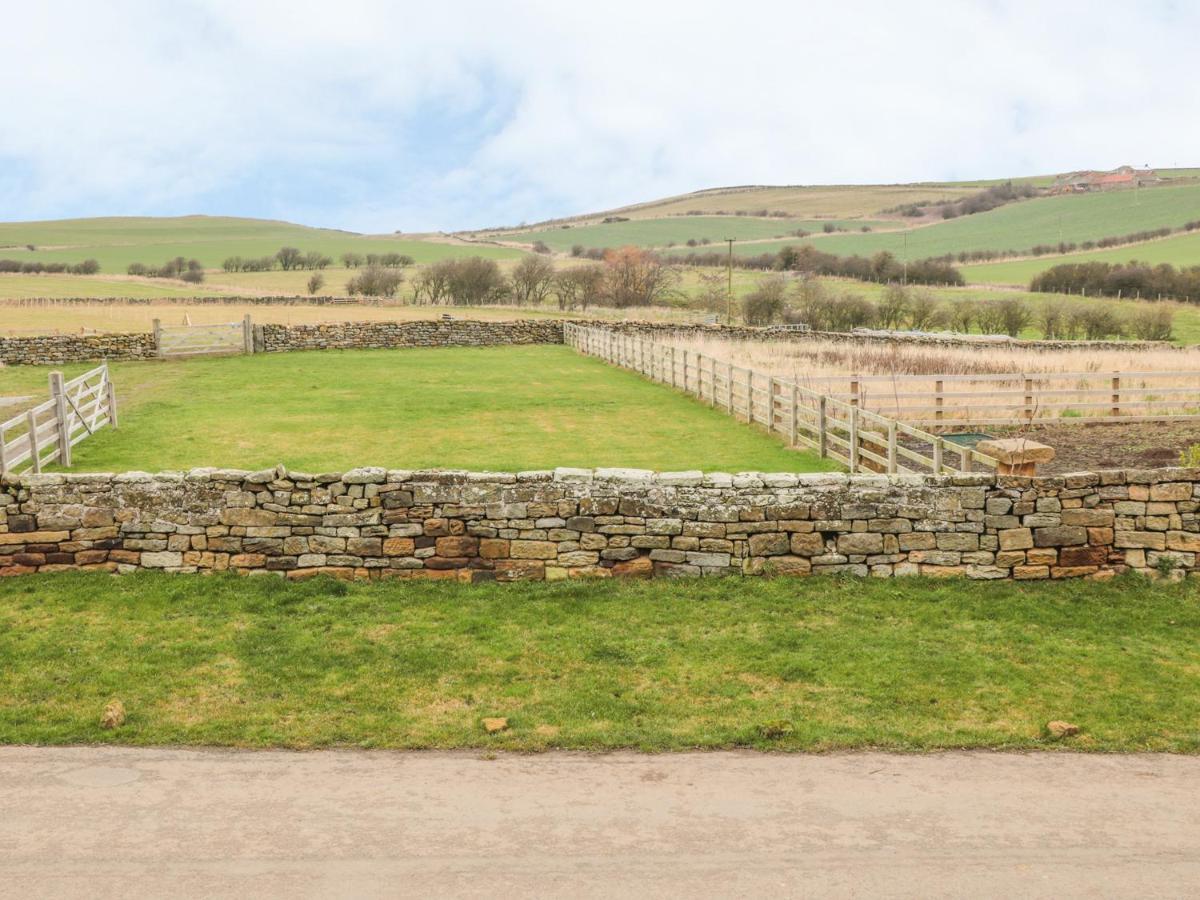 Street House Farm Cottage Saltburn-by-the-Sea Extérieur photo